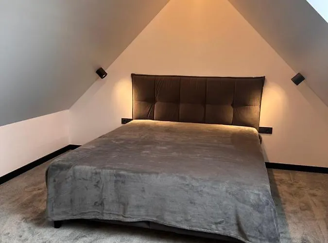 別荘 Waves In Kunigiskes パランガ