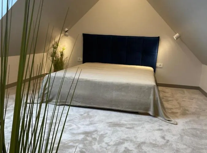 Waves In Kunigiskes 別荘 *