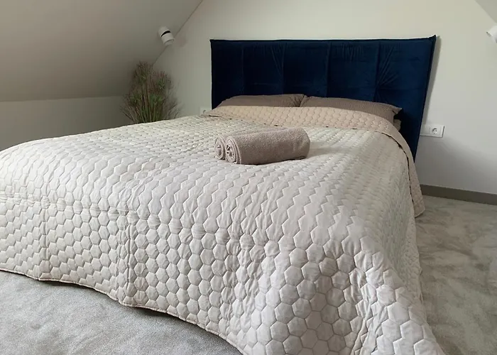 Waves In Kunigiskes 別荘 パランガ